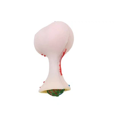 Model strukture mozga